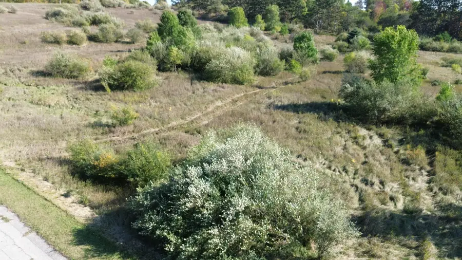 Lots 2 & 3 Fox Lane, Benzonia, MI 49616 - Image #3