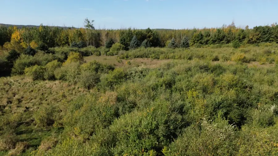 Lots 4,5,6 Fox Lane, Benzonia, MI 49616 - Image #2