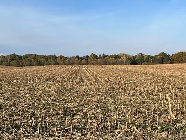 Wickwire Road, Benton Harbor, MI 49022 - Image #1