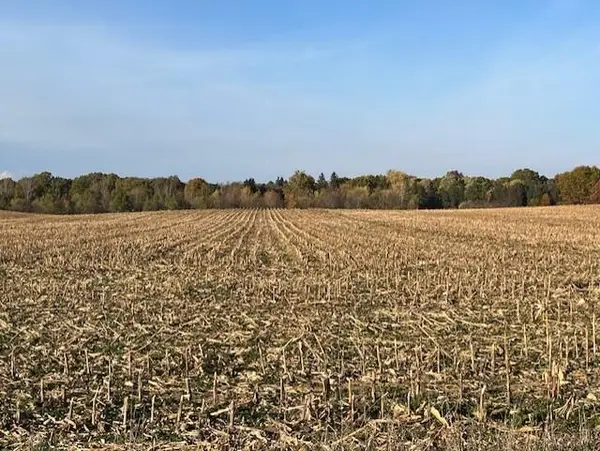 Wickwire Road, Benton Harbor, MI 49022