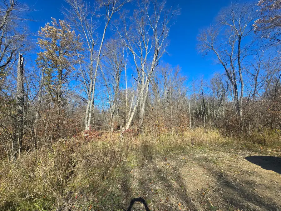 V/L E Cadillac Road, Merritt, MI 49667 - Image #2