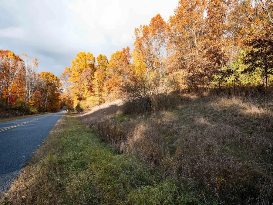 V/L 186th Avenue, Hesperia, MI 49421 - Image #2