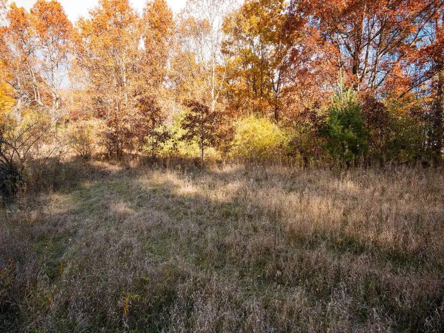 V/L 186th Avenue, Hesperia, MI 49421 - Image #3