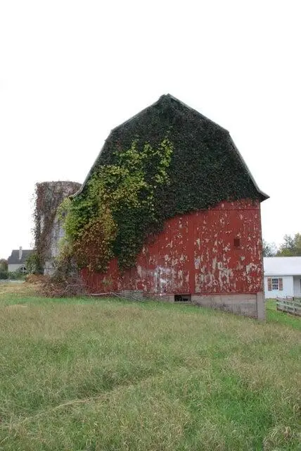 2975 #3 Boynton Avenue Ne, Ada, MI 49301 - Image #1