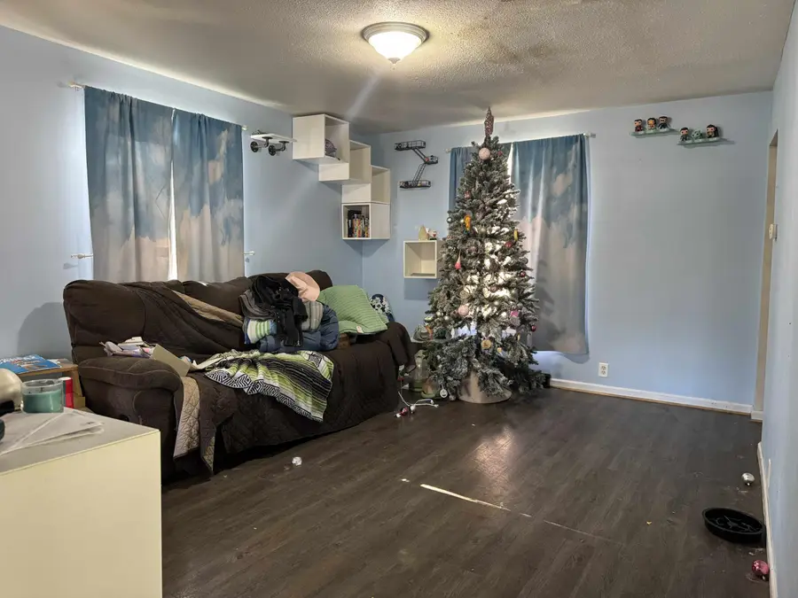 1035 Eastward Street, Alma, MI 48801 - Image #2