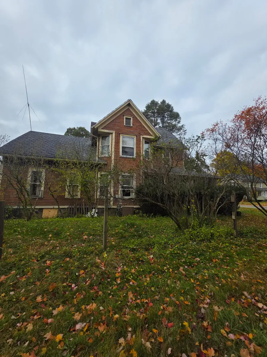 113 W Walnut Street, Albion, MI 49224 - Image #3