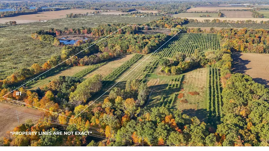 VL 62nd Street, Decatur, MI 49045 - Image #2