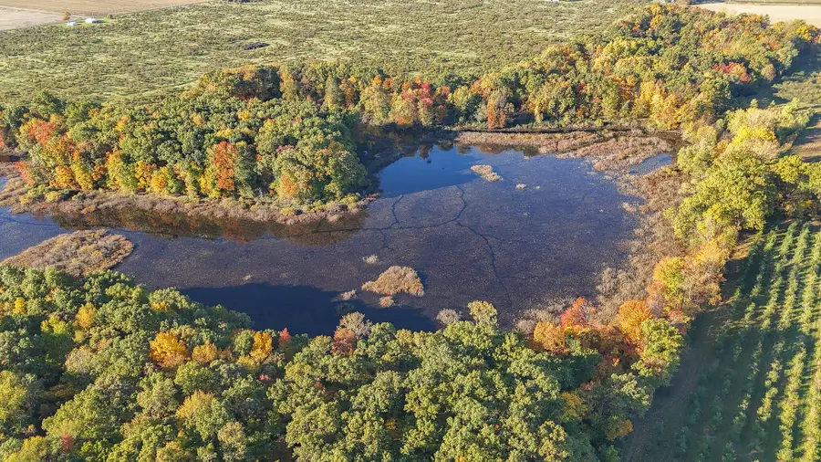 VL 62nd Street, Decatur, MI 49045 - Image #3