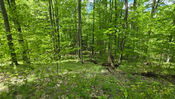 Mcclish Aka Bigge, Copemish, MI 49625