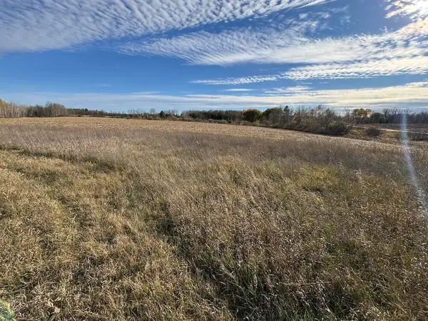 S Morrison Road, West Branch, MI 48661