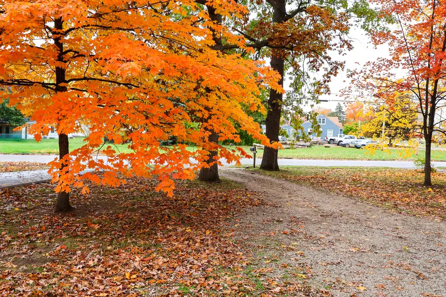 2640 Lee Street Sw, Wyoming, MI 49519 - Image #3