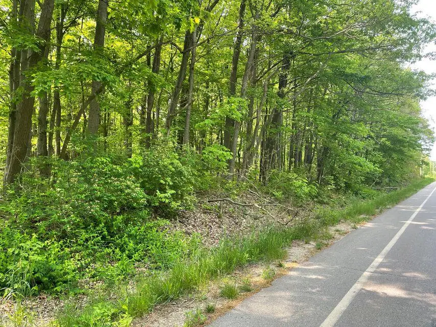 01 63rd Street #D, Saugatuck, MI 49453 - Image #3