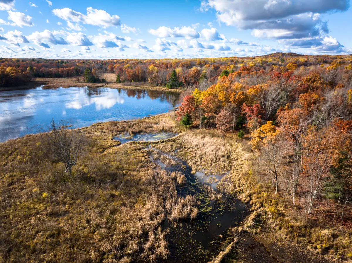 8686 East 3 Mile Road, White Cloud, MI 49349 - Image #1