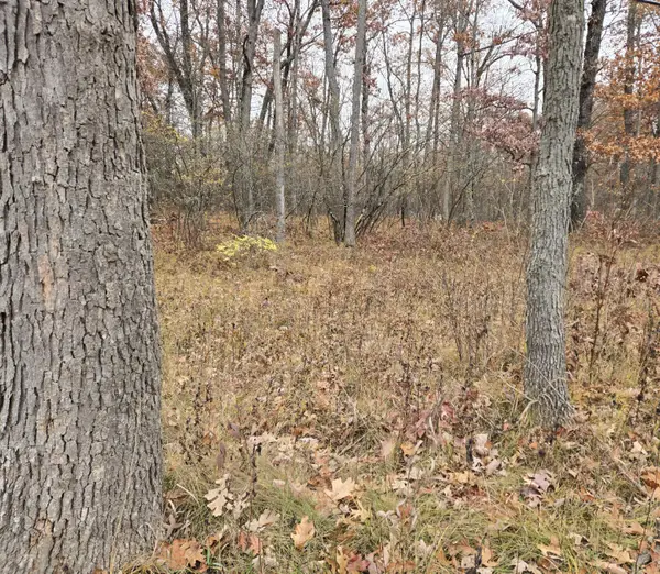 V/L Woodbridge Drive, Bitely, MI 49309