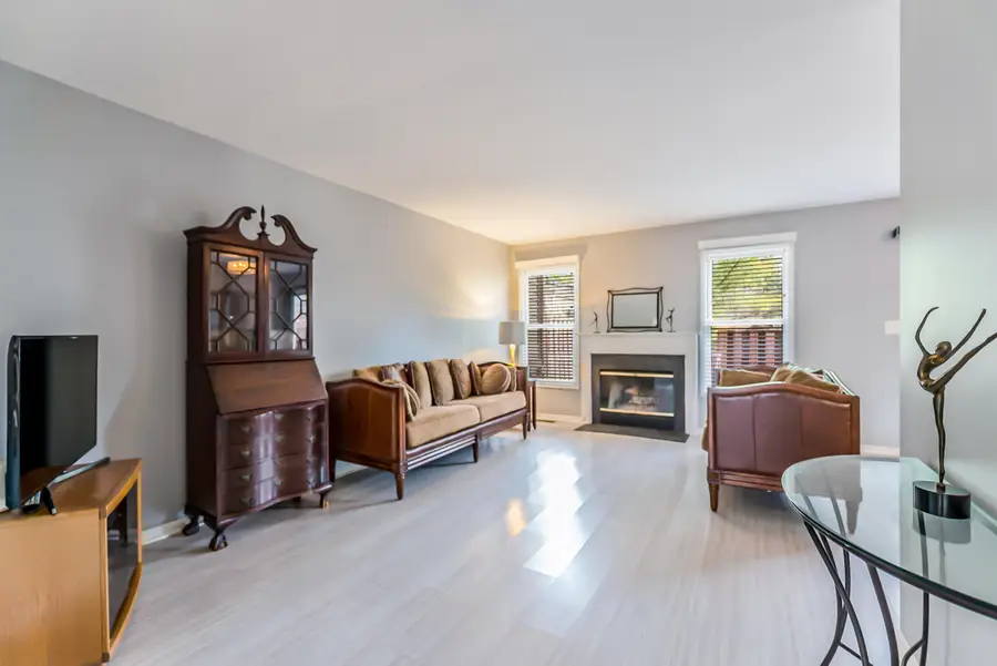 531 Liberty Pointe Drive, Ann Arbor, MI 48103 - Image #3