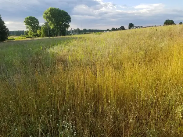 859 Greystone Drive #13, Chelsea, MI 48118