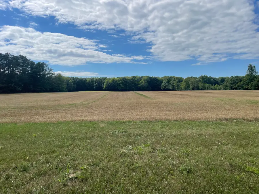 5208 S 36th Avenue, New Era, MI 49446 - Image #3