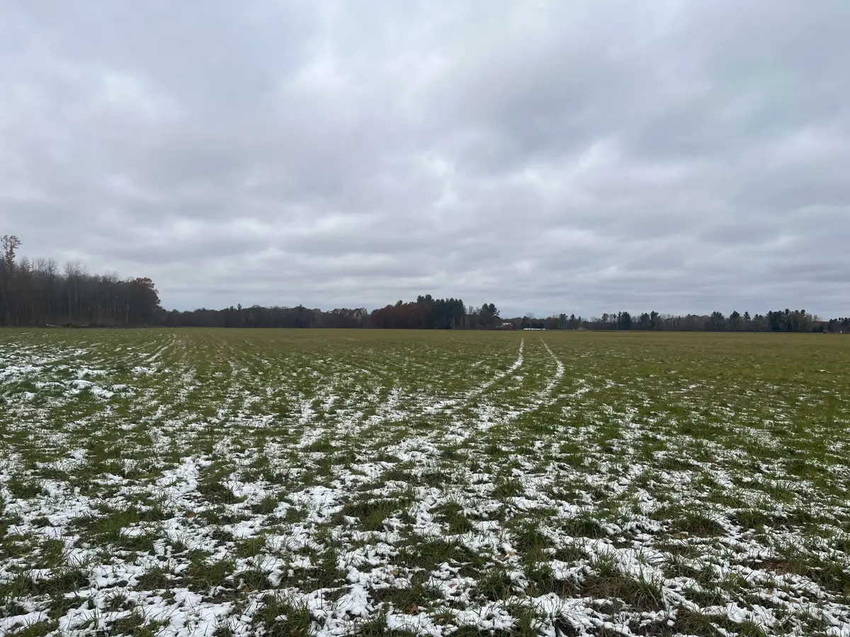 11477 N Johnson Road, Lakeview, MI 48850 - Image #1