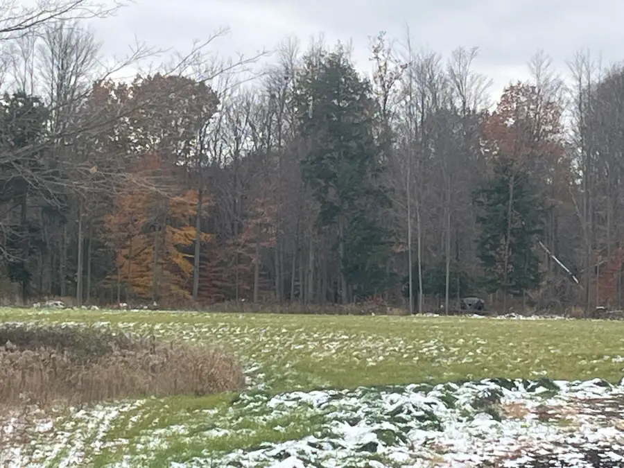 11477 N Johnson Road, Lakeview, MI 48850 - Image #3