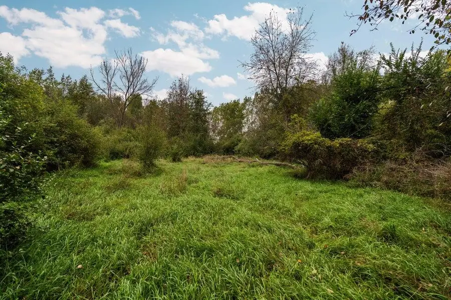 Lot 32&37 N Ann Street, Fowlerville, MI 48836 - Image #3