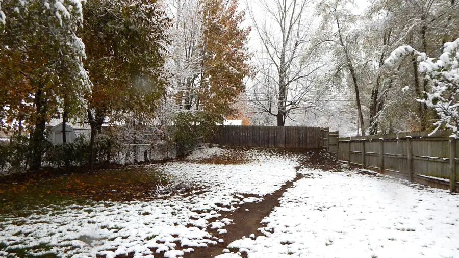 155 Derby Road, Battle Creek, MI 49017 - Image #3