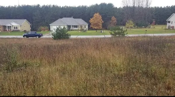 Long Wood Drive, Traverse City, MI 49685