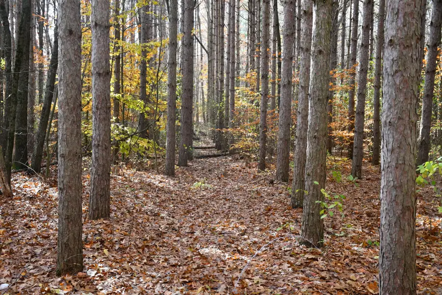 2841 Odawa Trail, Shelbyville, MI 49344 - Image #2