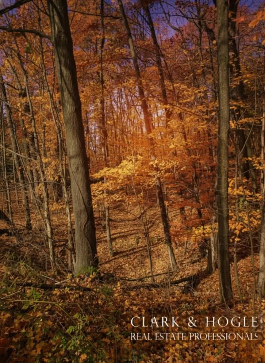 0 Lakeside Drive, Perrinton, MI 48871 - Image #1