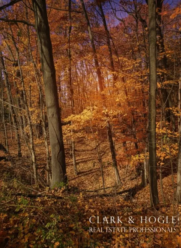 0 Lakeside Drive, Perrinton, MI 48871