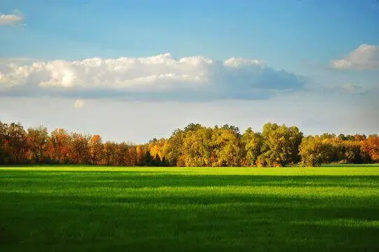 3220 N Hideaway Drive Se, Caledonia, MI 49316