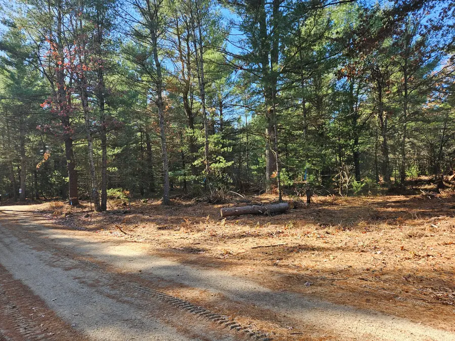 Parcel O Tatanka Trail, Baldwin, MI 49304 - Image #3