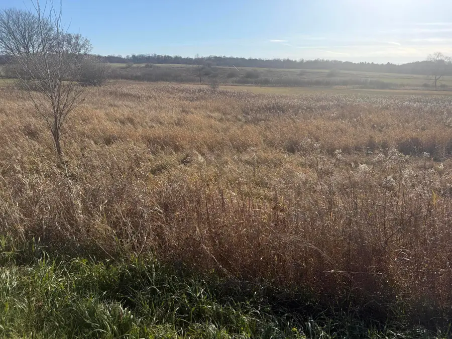 18 Mile Road, Big Rapids, MI 49307 - Image #3