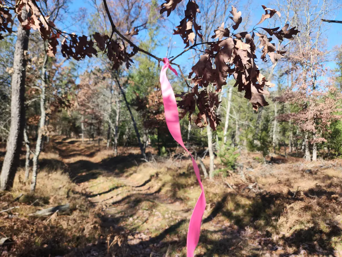 VL W Trail 6545 (hb Road), Baldwin, MI 49304 - Image #1