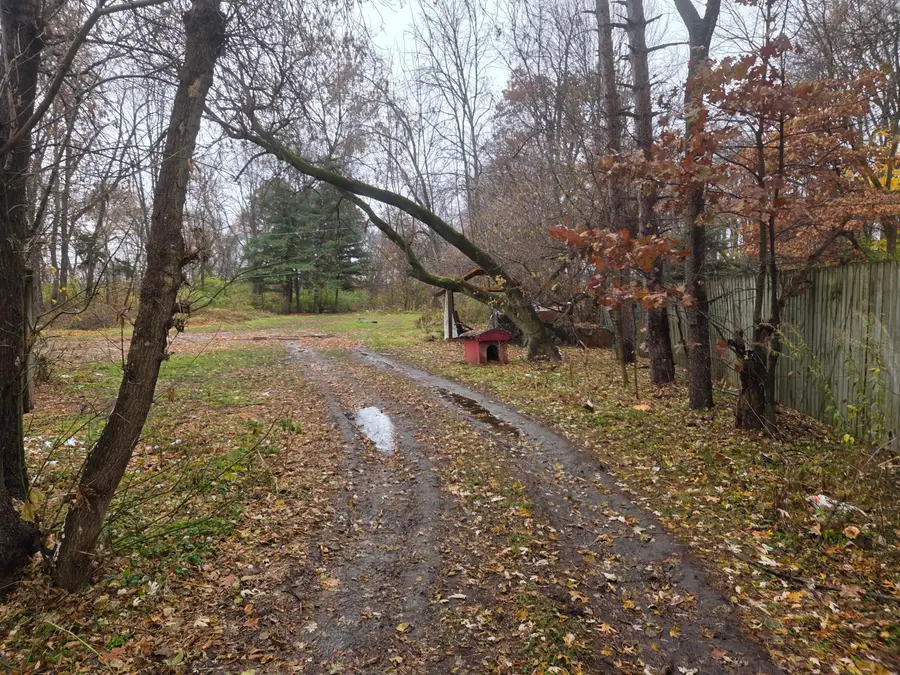 14500 Portage Road, Vicksburg, MI 49097 - Image #3