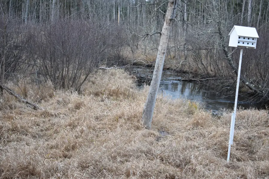 646 W 3 Mile Road, Luther, MI 49656 - Image #3