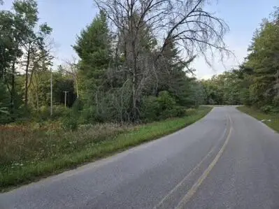 V/L S Broadway Street, Idlewild, MI 49642 - Image #2