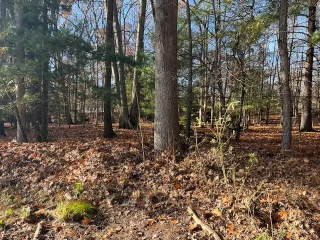 V/L Bedeau Street, Montague, MI 49437 - Image #3