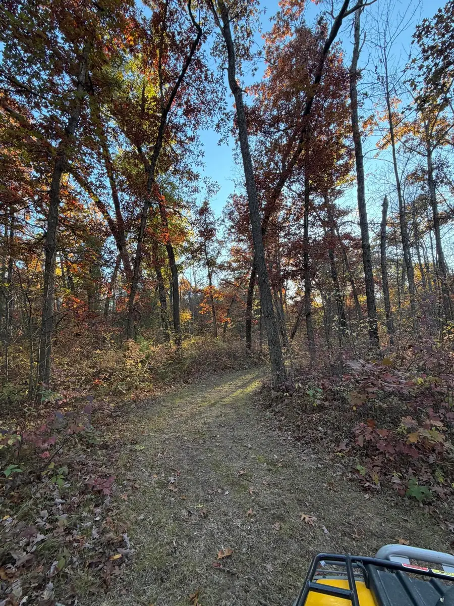 V/L Maple Hill Road #Parcel A, Howard City, MI 49329 - Image #3