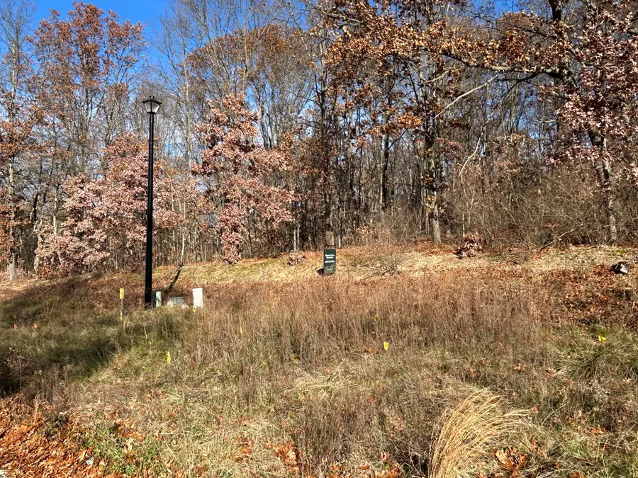 10711 Mystic Heights Trail, Mattawan, MI 49071 - Image #3