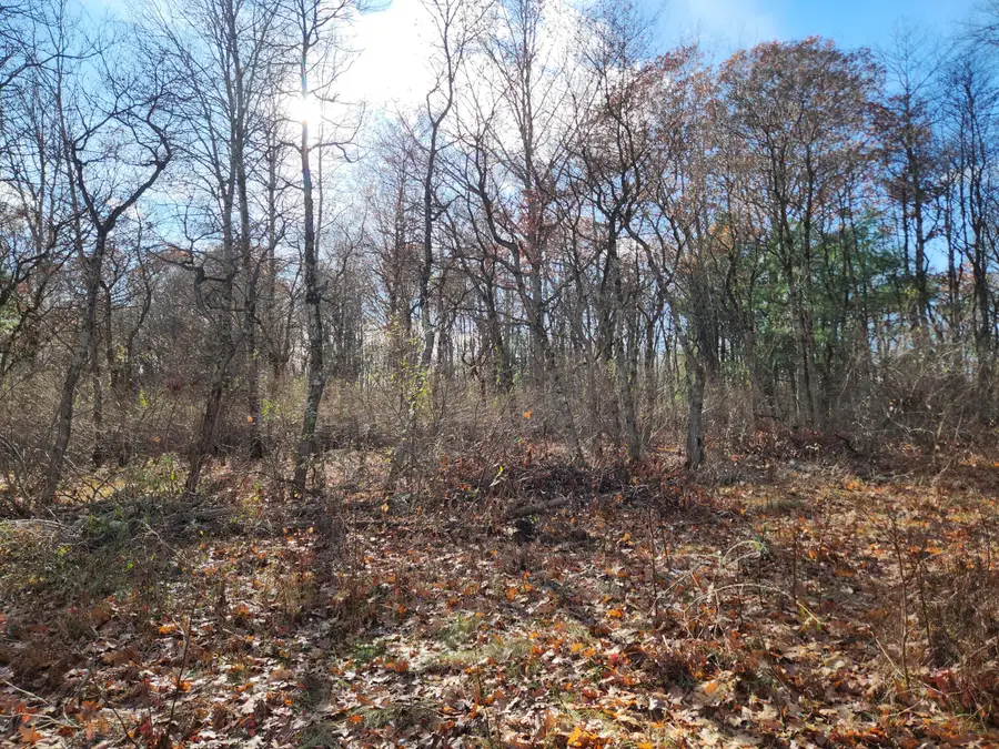 VL Us-10 Nw, Baldwin, MI 49304 - Image #3