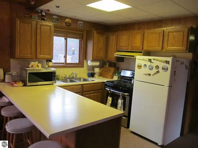 1191 W 10 1/2 Mile Road, Irons, MI 49644 - Image #2