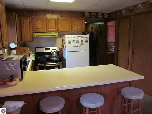 1191 W 10 1/2 Mile Road, Irons, MI 49644 - Image #3