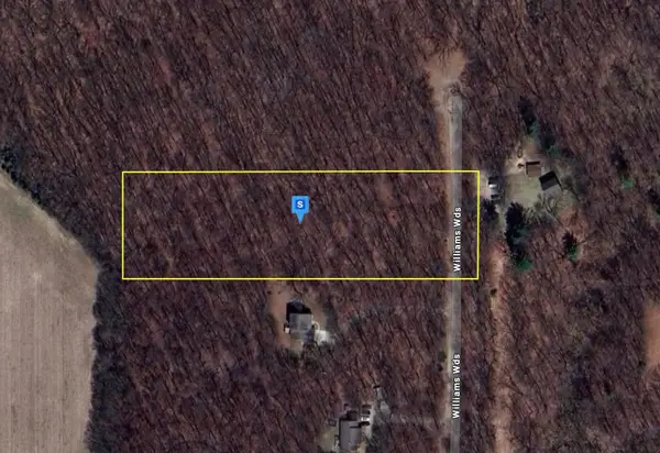 16299 Williams Woods, Gowen, MI 49326