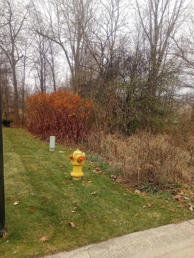 4093 Libbie Drive, Clio, MI 48420 - Image #2