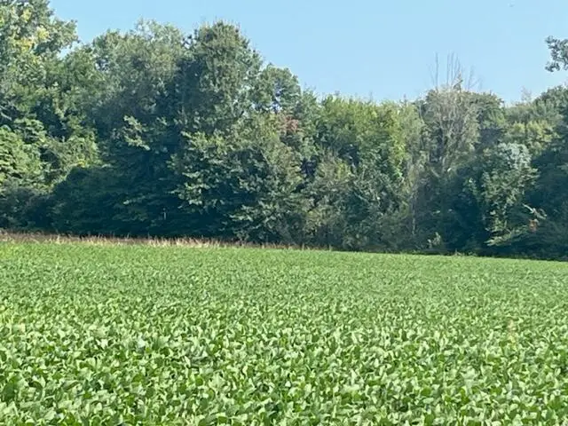 Wilson Road #B, New Buffalo, MI 49117 - Image #3