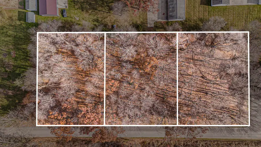 Lots 1-3 S Sherman Street, Sheridan, MI 48884 - Image #3