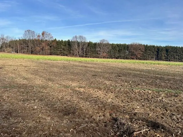 0 Seymour Road #Parcel D, Grass Lake, MI 49240 - Image #2