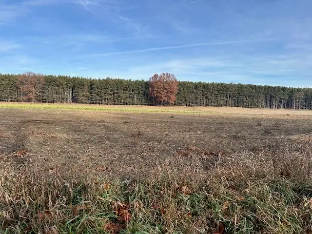 0 Seymour Road #Parcel D, Grass Lake, MI 49240 - Image #3