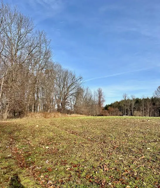 0 Seymour Road #Parcel C, Grass Lake, MI 49240 - Image #3