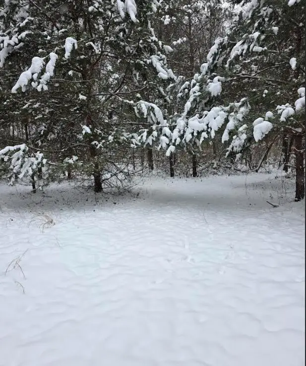 V/L 11th Street, Plainwell, MI 49080 - Image #3